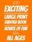 100 Exciting Large Print Sudoku Book