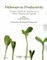 Pathways to Productivity