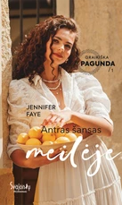 Antras šansas meilėje. Graikiška pagunda. Pirma knyga