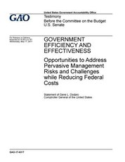 Government efficiency and effectiveness, opportunities to address pervasive management risks and challenges while reducing federal costs