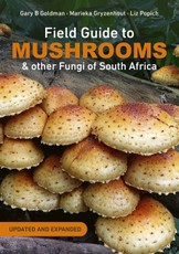 Field Guide to Mushrooms and Other Fungi of South Africa