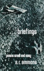 Briefings: Poems Small and Easy