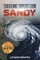 Surviving Superstorm Sandy