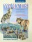 The Wonder of Wolves