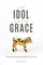 The Idol Called Grace