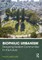 Biophilic Urbanism