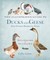 The Illustrated Guide to Ducks and Geese and Other Domestic Fowl