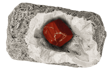 Detalės DIG lt! MINERALS & FOSSILS 5+