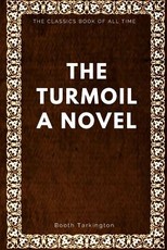 The Turmoil