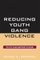 Reducing Youth Gang Violence
