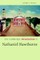 The Cambridge Introduction to Nathaniel Hawthorne