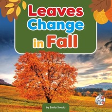 Leaves Change in Fall