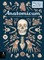 Anatomicum