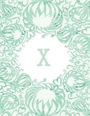 X