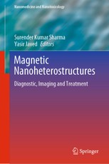 Magnetic Nanoheterostructures