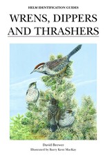 Wrens, Dippers and Thrashers