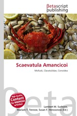 Scaevatula Amancicoi