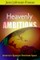 Heavenly Ambitions