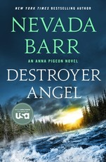 Destroyer Angel