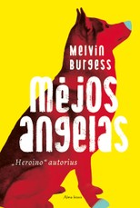 Mėjos angelas