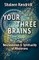Your Three Brains: The Neuroscience & Spirituality of Wholeness