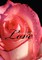 Complicated Love