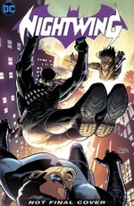 Nightwing: The Gray Son Legacy