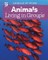 Animals Living in Groups