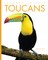 Toucans