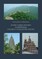 Kinijos, Indijos ir Rusijos susidūrimas Eurazijos civilizacinėse erdvėse. The clash between China, India and Russia in Eurasia's civilisational spaces