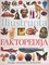 Iliustruota faktopedija