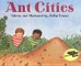 Ant Cities