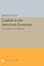 Capital in the American Economy