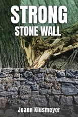 Strong Stone Walls
