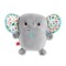 FISHER-PRICE grojantis ir vibruojantis drambliukas (HML65)