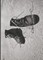 Josef Koudelka: Diaries