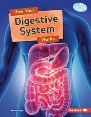 How Your Digestive System Works