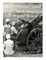 The Sinai and Palestine Campaign of World War I