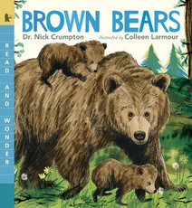 Brown Bears