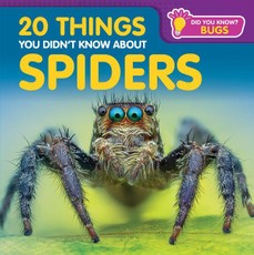 20 Things You Didn't Know about Spiders