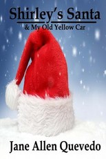 Shirley's Santa