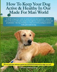 How To Keep Your Dog Active & Healthy In Our Made For Man World