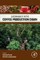 Sustainability in the Coffee Production Chain