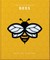 The Little Book of Bees