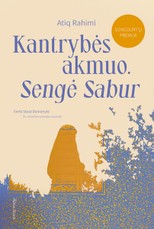 Kantrybės akmuo (knyga su defektais)