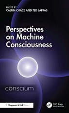 Perspectives on Machine Consciousness