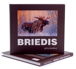 Briedis. Girių karalius