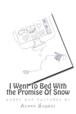 I Went To Bed With the Promise Of Snow