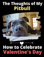 The Thoughts of My Pitbull