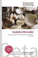 Scalptia Mercadoi